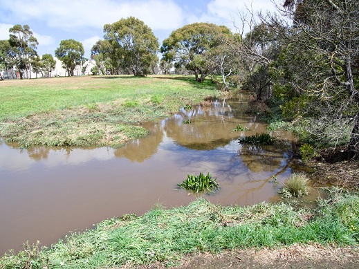 creek photo